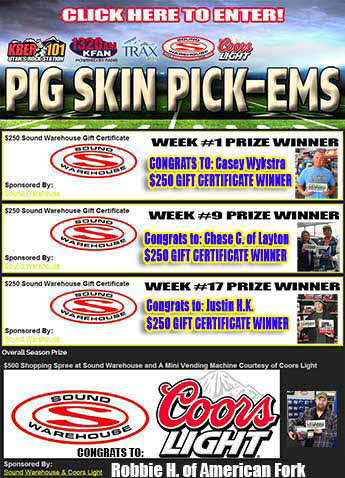 Pig Skin Pick-ems 2014 Winners